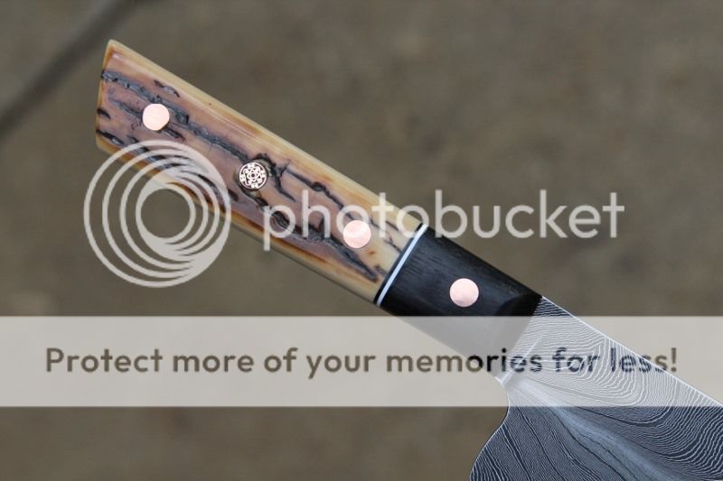 SOLD Feather damascus LASER petty. SOLD